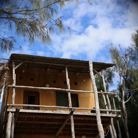Tree House Cottage, Ocean View Praia do Praia do Tofo 외부 사진